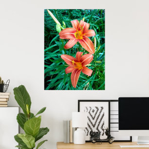 Double Daylily Orange Flower Photo Print Poster