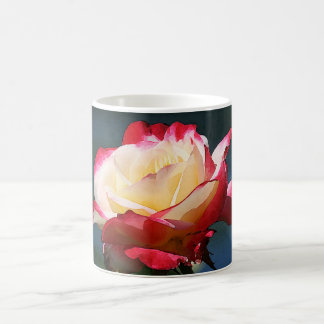 'Double Delight' hybrid tea rose Coffee Mug