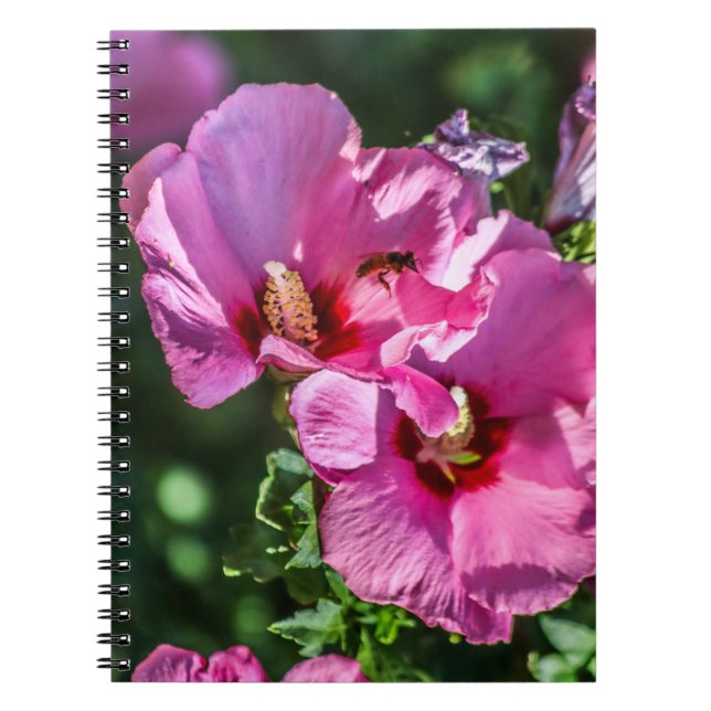 Double Delight Notebook (Front)