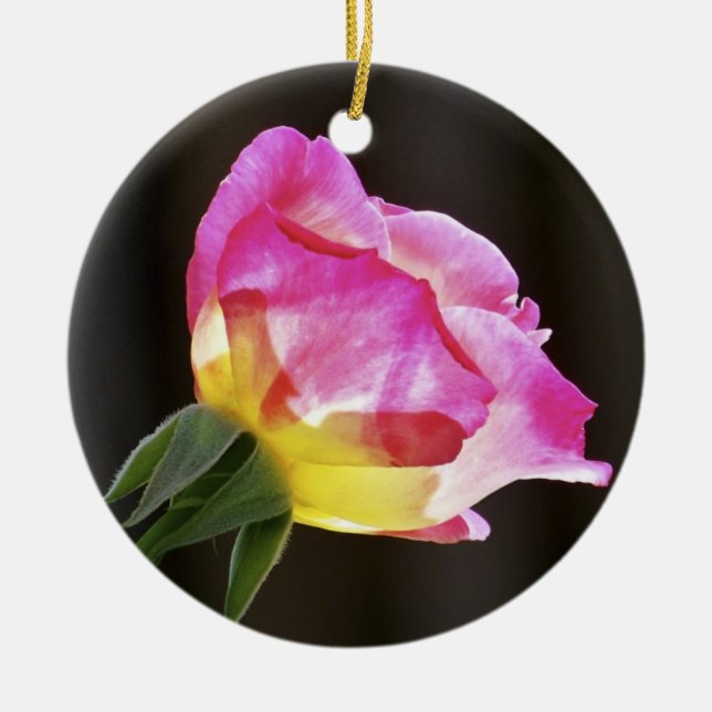Double Delight Rose Ornament (Front)