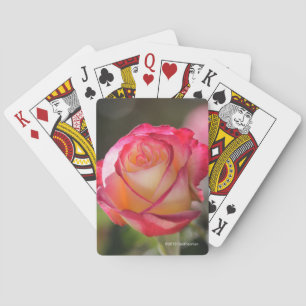 Double Delight Rose Playing Cards