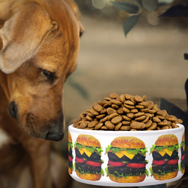 Double Deluxe Hamburger & Cheese Large Pet Bowl (Double Deluxe Hamburger & Cheese Large Pet Bowl)