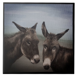 Double Donkey Tile