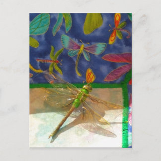 Double dragonfly postcard