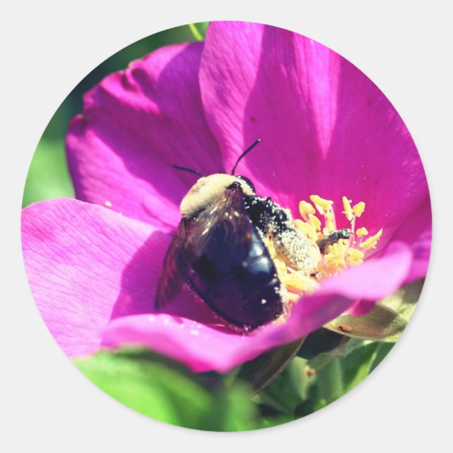 Double Duty Bees Flower  Classic Round Sticker (Front)
