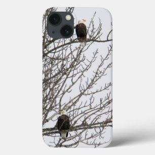 Double Eagle iPhone 13 Case