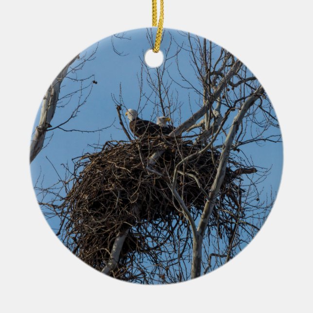 Double Eagle Trouble Ceramic Ornament (Front)