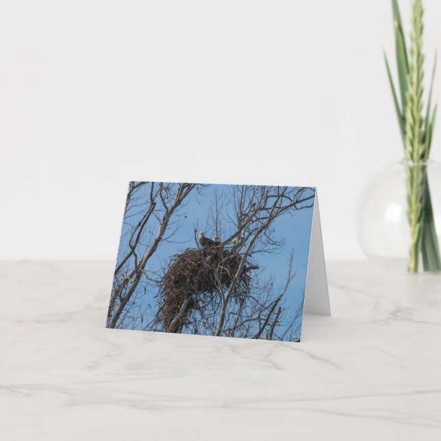 Double Eagle Trouble Greeting Card (Front)