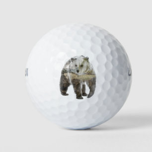 Double Exposure Bear and Woods Golf Balls