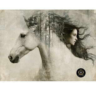 Double Exposure Horse Woman Decoupage Tissue Paper