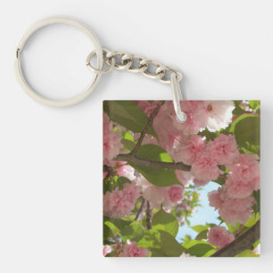 Double floraison cerisier III printemps fleuri