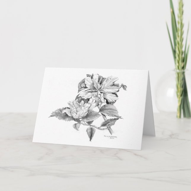 Double Hibiscus in pencil Thank You Card (Front)