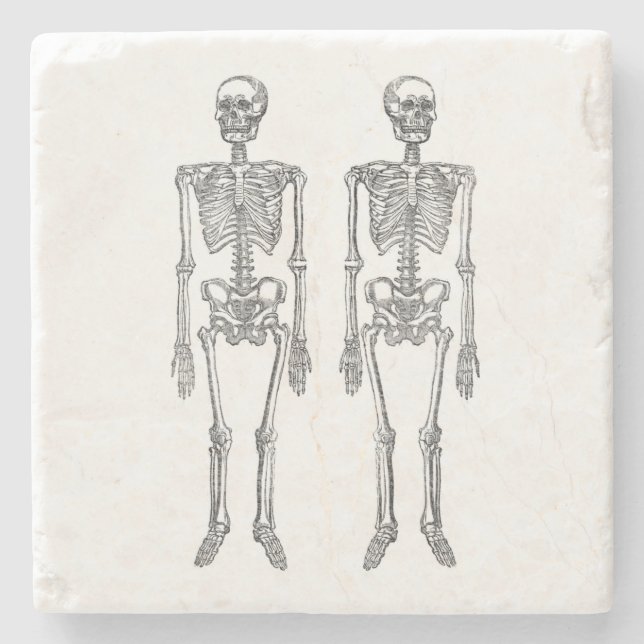 Double Human Skeletons Black Stone Coaster (Front)