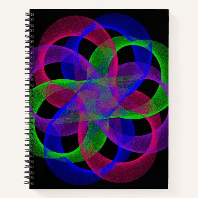 Double Loop Mesh Geometric Spiral Notebook (Front)