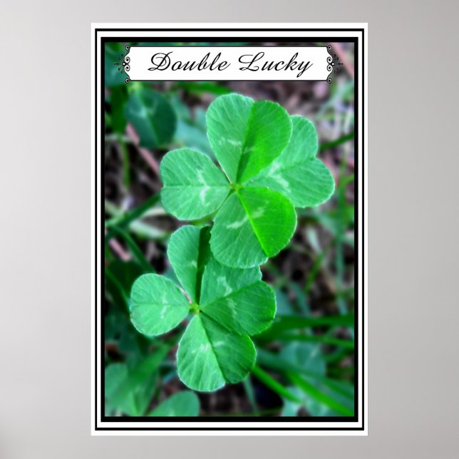 Double Lucky - Poster (Devant)