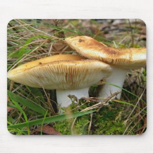 Double Mushroom Mousepad