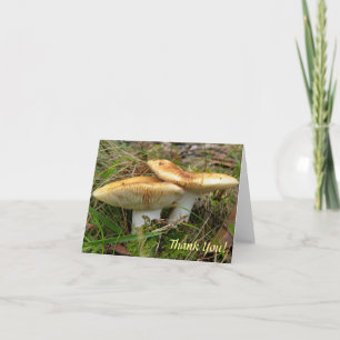 Double Mushroom Note Card