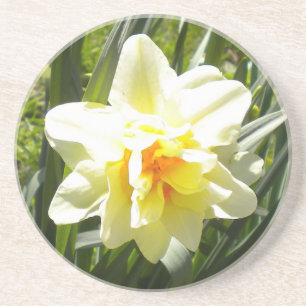 Double Narcissus/Daffodil Coaster