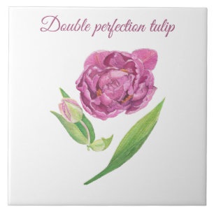 Double perfection tulip botanical watercolor tile