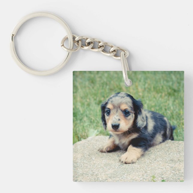 Double photo Adele 6wws (Devant)