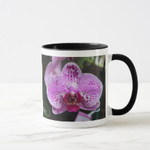 Double pourpre d'orchidée avec la tasse de