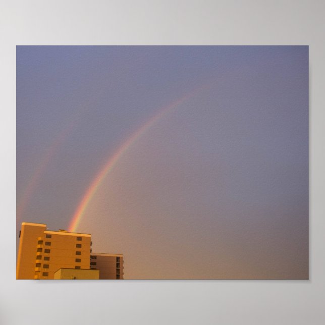 Double Rainbow Poster (Front)