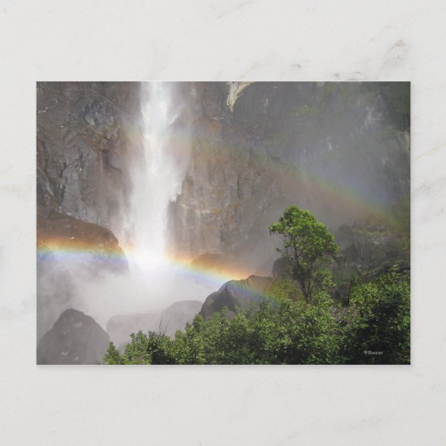 Double Rainbows Postcard (Front)