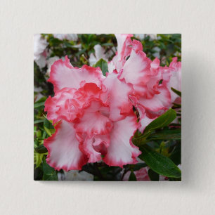 Double Red and White Azaleas Spring Floral 2 Inch Square Button