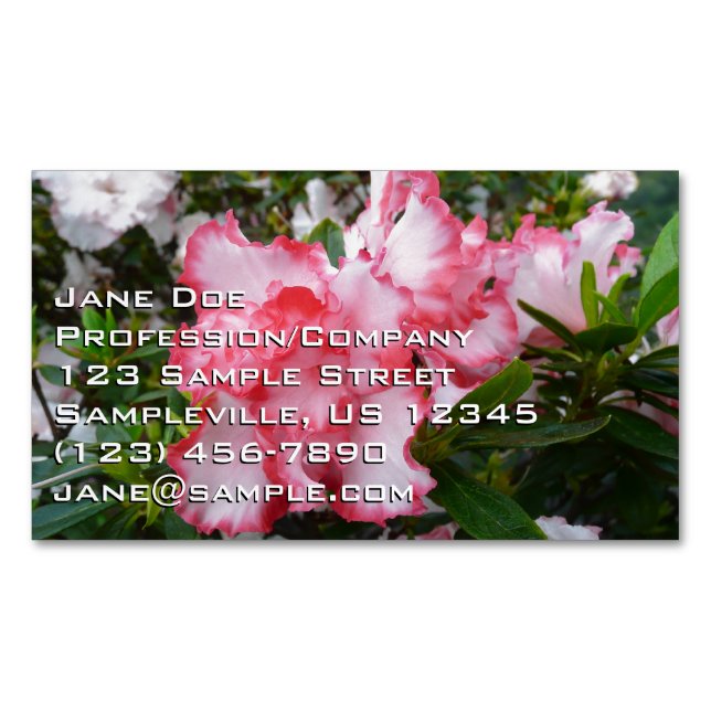 Double Red and White Azaleas Spring Floral Magnetic Business Card (Front)