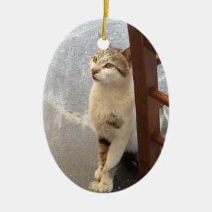 Double-Sided Cat ornament
