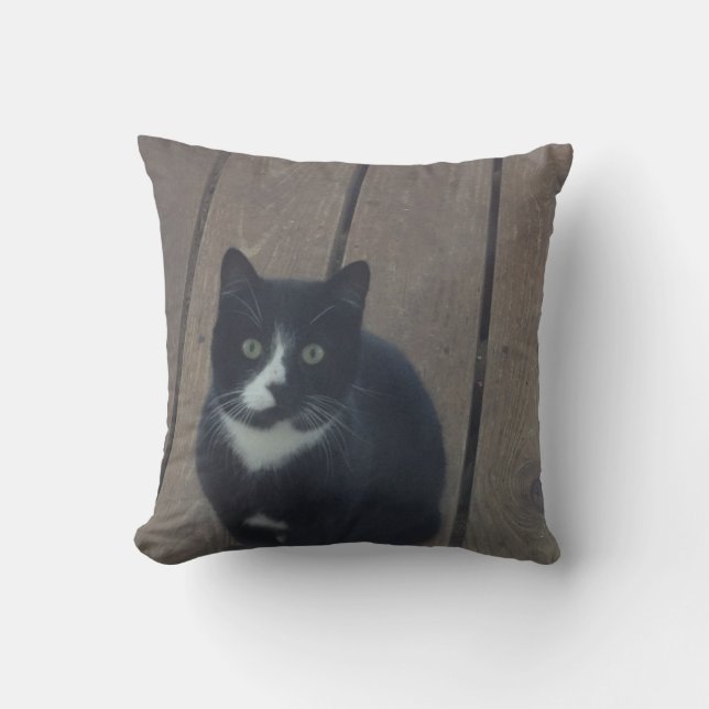 double sided cat pillow ... throw pillow (Front)
