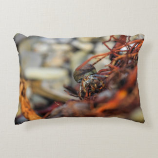 Double Sided Hermit Crab Pillow