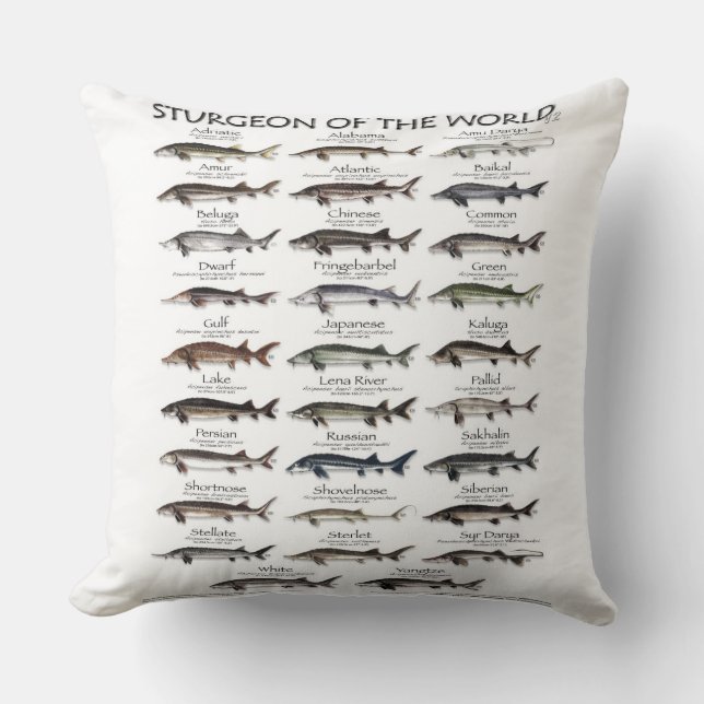 DOUBLE SIDED PILLOW -STURGEON OF THE WORLD  (Front)