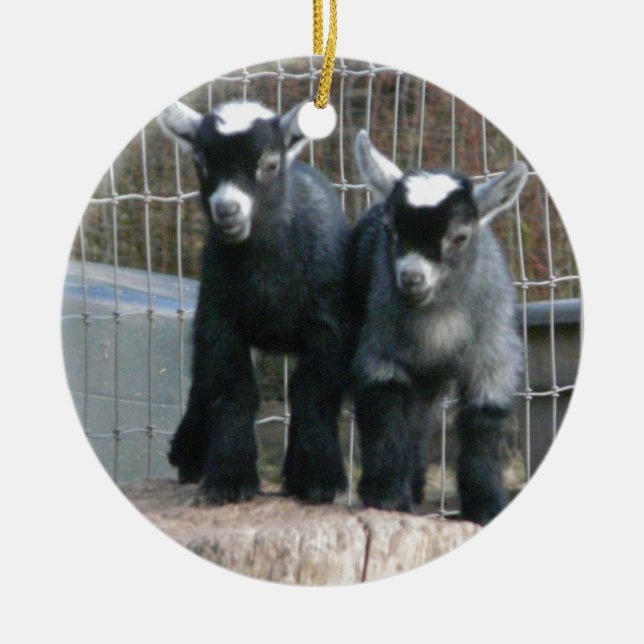 Double Trouble Ceramic Ornament (Front)