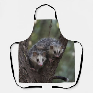 Double Trouble in the Canopy: Twin Possums Apron