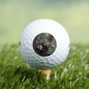 Double Trouble in the Canopy: Twin Possums Golf Balls