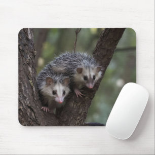 Double Trouble in the Canopy: Twin Possums Mouse Pad
