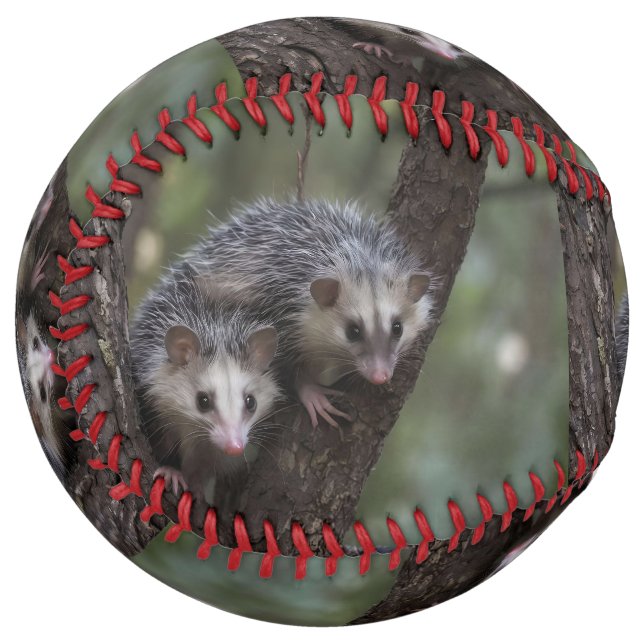 Double Trouble in the Canopy: Twin Possums Softball (Front Left)