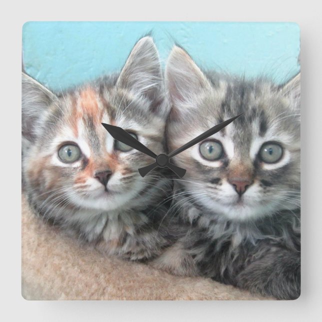 Double Trouble Kitten Clock (Front)