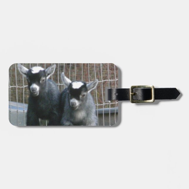 Double Trouble Luggage Tag (Front Horizontal)