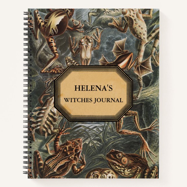 Double Trouble Witches Journal (Front)