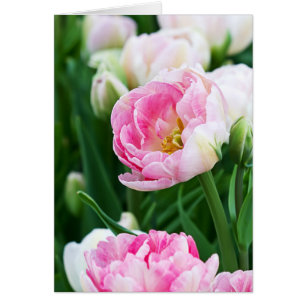 Double Tulips Spring Garden All Occasion Custom