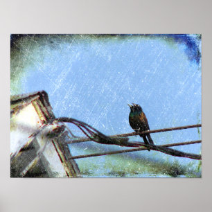 Double Vision Poster