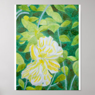 Double white hibiscus flower watercolor poster