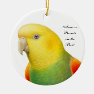 Double Yellow Headed Amazon Parrot Ornament