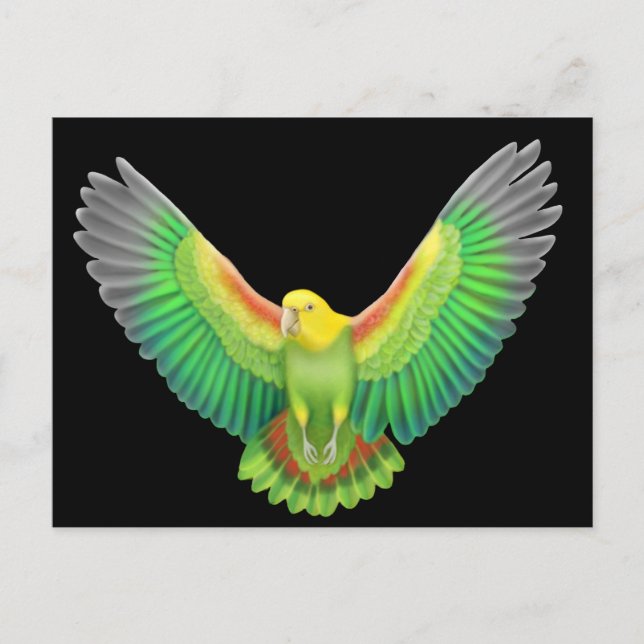 Double Yellow Headed Amazon Postcard (Front)