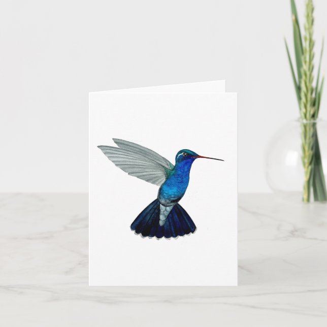 Doubleday's hummingbird  card (Front)