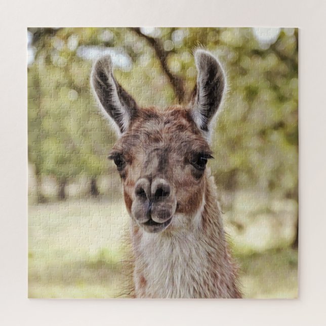 Douce et mignonne Llama Face Gros Puzzle (Vertical)