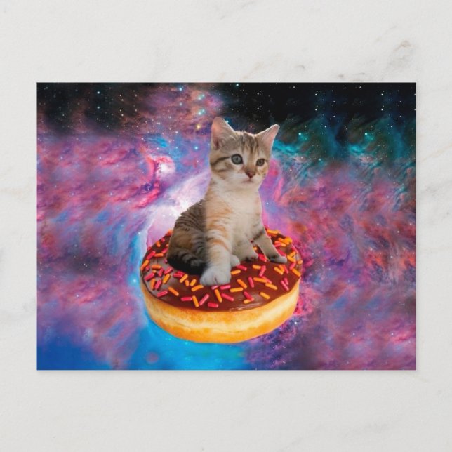 Doughnut Cat - Doughnut lover Postcard (Front)