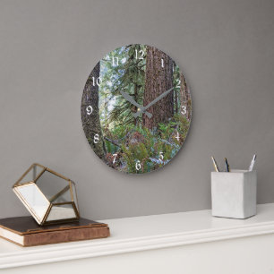 Douglas Fir Conifer Forest Large Clock